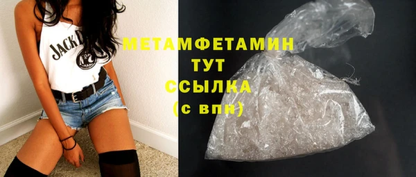 гидра Кодинск