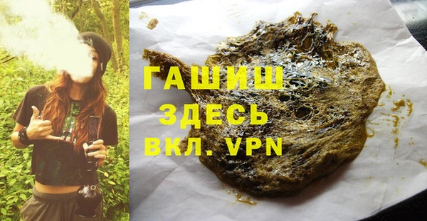 гидра Кодинск