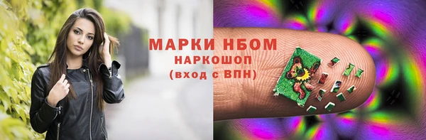 гидра Кодинск