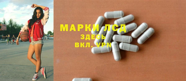 гидра Кодинск