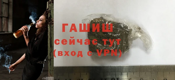 гидра Кодинск