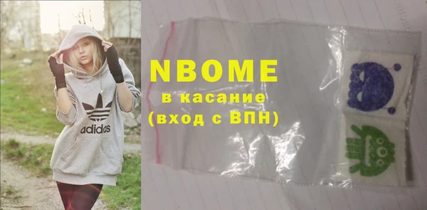 гидра Кодинск