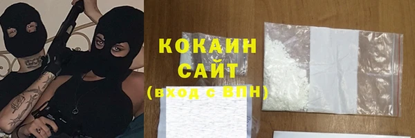 гидра Кодинск