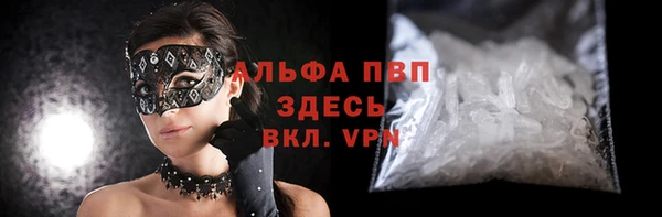гидра Кодинск