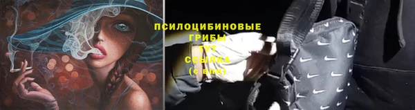 гидра Кодинск