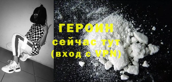 гидра Кодинск