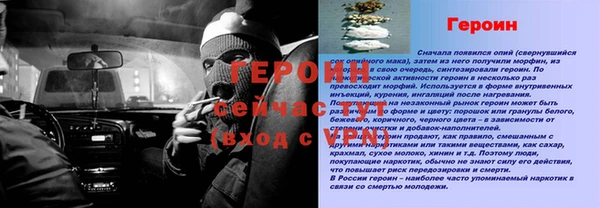 гидра Кодинск