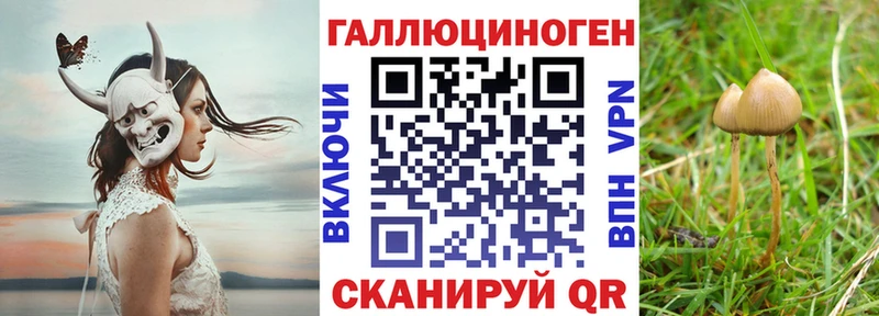 Псилоцибиновые грибы Psilocybine cubensis Купить Краснозаводск